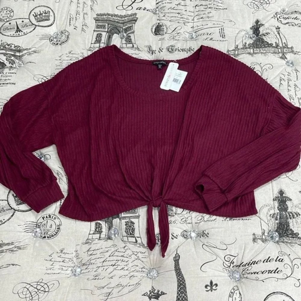 CURVY SENSE Cropped Long Sleeve